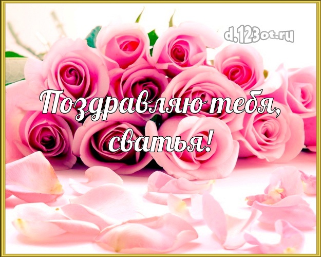 Поздравляю Тебя, сватья! Сватье! Для любимой сватьи с днём рождения! Розы! Картинка, открытка! Лепестки роз! Сватья! Поздравляю Тебя, сватья! Скачать онлайн бесплатно для вацап!