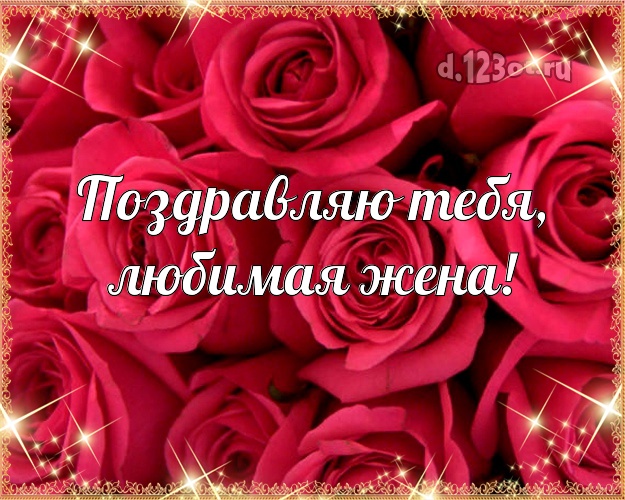 Поздравляю Тебя, любимая жена! Женушке! Для любимой жены с днём рождения! Красно-розовые розы! Любимой жене! Поздравляю Тебя, любимая жена! Скачать онлайн бесплатно для вацап!