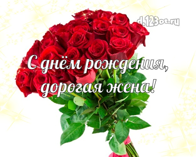 Женушке! Для любимой жены с днём рождения! Большой, яркий букет роз! Открытка! Для whatsApp, telegram, viber, ok, vk, facebook! Любимой жене! С днём рождения, дорогая жена! Скачать онлайн бесплатно для вацап!