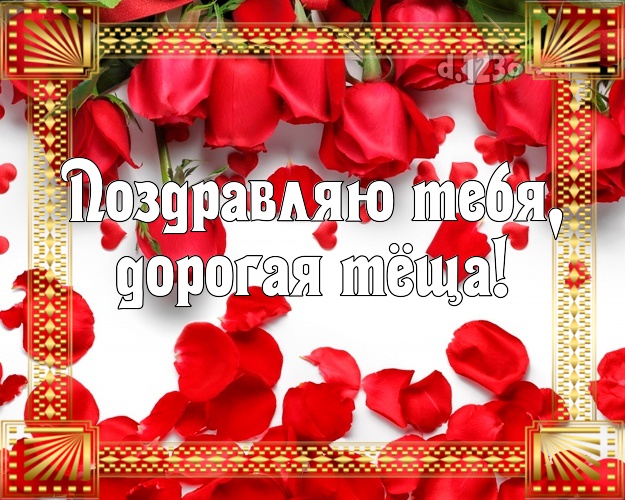 Поздравляю Тебя, дорогая тёща! Тёще! Для любимой тёщи с днём рождения! Красные лепестки роз! Картинка, открытка с днём рождения! Маме! Поздравляю Тебя, дорогая тёща! Скачать онлайн бесплатно для вацап!