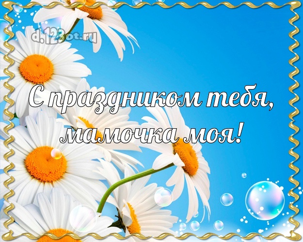 Otkrytka Kartinka Moej Mamochke Na Den Rozhdeniya Krasivye Rozovye Tyulpany Otkrytka Kartinka Na Dr Dorogoj Mame Pozdravlenie V Stihotvornoj Forme Lyubimoj Mame V Den Rozhdeniya S Pozhelaniyami Skachat Dlya Whatsapp Otkrytku S
