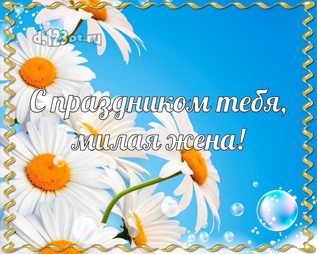 С праздником Тебя, милая жена! Дорогой жене! С днём рождения, ромашки для Тебя! Милой женушке на день рождения! С праздником Тебя, милая жена! Скачать онлайн бесплатно для вацап!