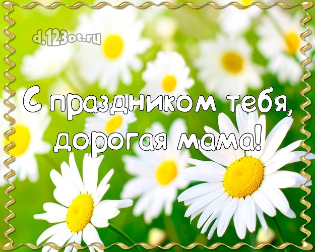 Otkrytka Kartinka Moej Mamochke Na Den Rozhdeniya Podsnezhniki Otkrytka Kartinka S Dnyom Rozhdeniya Dlya Vacap Vajber Telegram Vk Odnoklassniki Dorogoj Mame Trogatelnyj Stih Moj Mamochke S Dnem Rozhdeniya Skopirovat Pozdravlenie Besplatno