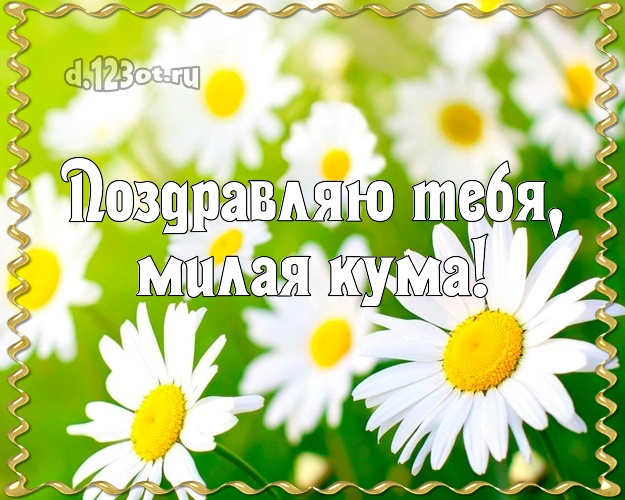 С днем рождения маме картинки с ромашками