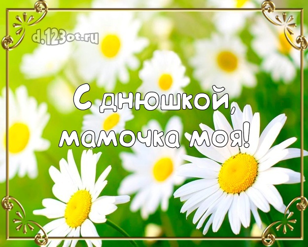 Ромашки для машки картинки
