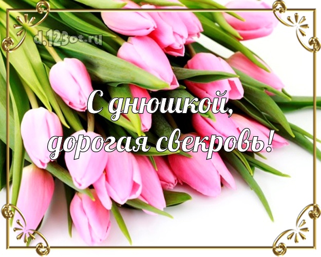 Дорогой свекрови! Тюльпаны открытка, картинка! С днём рождения! Милой свекрови на день рождения! С днюшкой, дорогая свекровь! Скачать онлайн бесплатно для вацап!