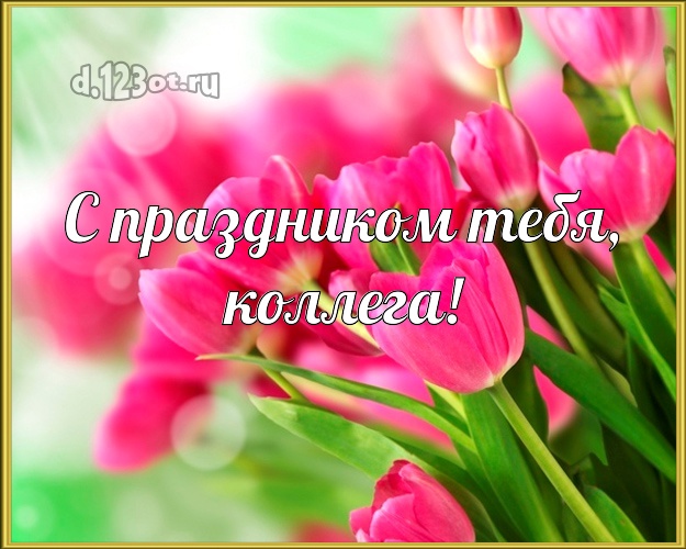 С праздником Тебя, коллега! Дорогой коллеге-женщине! Тюльпаны на день рождения! С днём рождения для вацап! Милой коллеге-женщине на день рождения! С праздником Тебя, коллега! Скачать онлайн бесплатно для вацап!