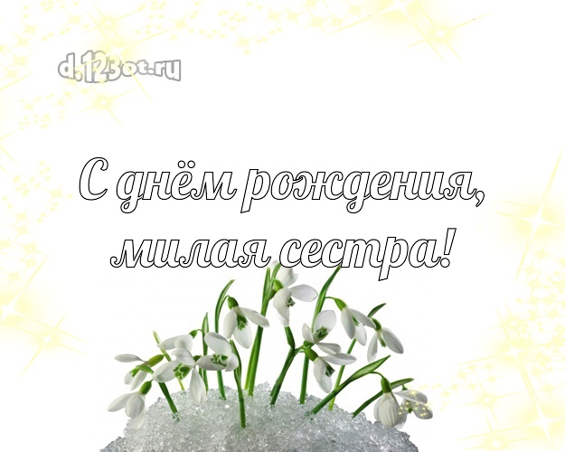 Дорогой сестре! Открытка с подснежниками! Вкуснятина! С днём рождения! Милой сестренке на день рождения! С днём рождения, милая сестра! Скачать онлайн бесплатно для вацап!