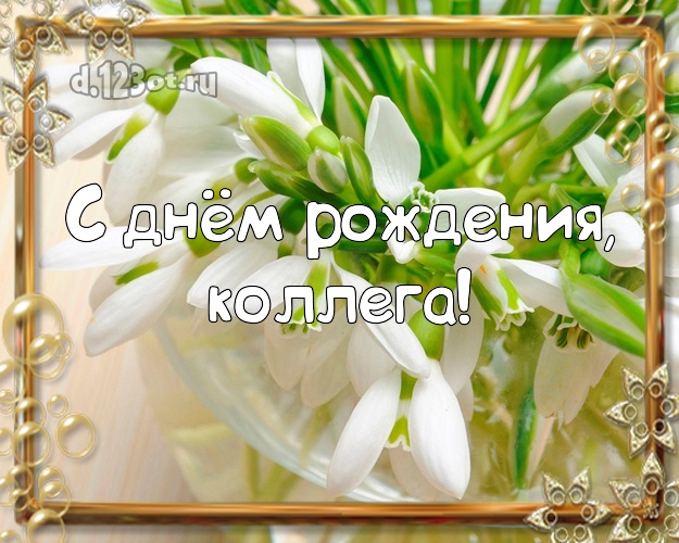 С днём рождения, милая коллега! Дорогой коллеге-женщине! Цветы, подснежники на день рождения! Открытка, картинка! Милой коллеге-женщине на день рождения! С днём рождения, милая коллега! Скачать онлайн бесплатно для вацап!