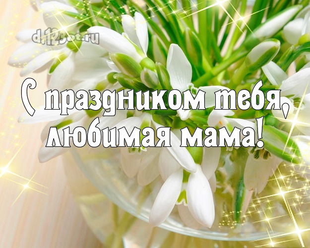 С праздником Тебя, любимая мама! Дорогой маме! Цветы, подснежники на день рождения! Открытка, картинка! Милой мамочке на день рождения! С праздником Тебя, любимая мама! Скачать онлайн бесплатно для вацап!