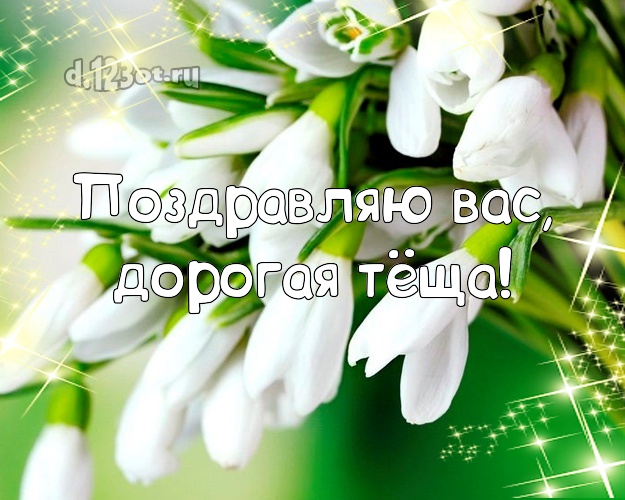 Поздравляю Вас, дорогая тёща! Дорогой тёще! Открытка, картинка с букетом подснежников! Милой тёще на день рождения! Поздравляю Вас, дорогая тёща! Скачать онлайн бесплатно для вацап!