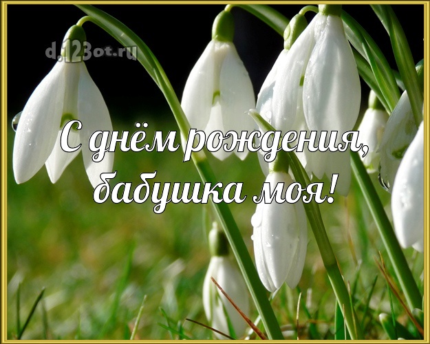 Дорогой бабушке! Открытка на день рождения с подснежниками! Милой бабулечке на день рождения! С днём рождения, бабушка моя! Скачать онлайн бесплатно для вацап!