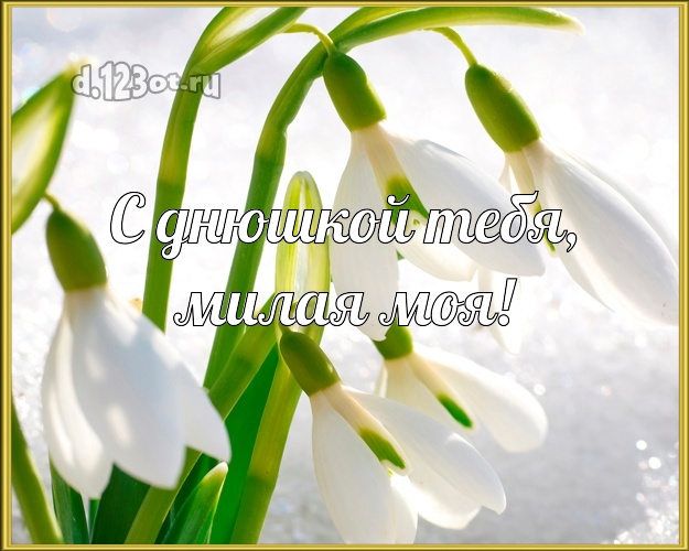 С днюшкой Тебя, милая моя! Дорогой и любимой! Открытка, картинка с подснежниками на снегу! Милой девушке на день рождения! С днюшкой Тебя, милая моя! Скачать онлайн бесплатно для вацап!