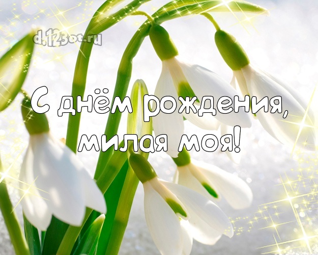 Otkrytka Kartinka Moej Lyubimoj Na Den Rozhdeniya Vozdushnye Podsnezhniki V Snegu Dorogoj Devushke Miloe Romanticheskoe Pozdravlenie V Stihah Luchshej Devushke V Mire Na Den Rozhdeniya Skachat Dlya Vatsap Vajber Telegram D 123ot Ru