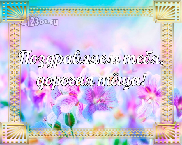 Тёще на день рождения! Весенние цветы! Моей тёще! Поздравляем Тебя, дорогая тёща! Скачать онлайн бесплатно для вацап!