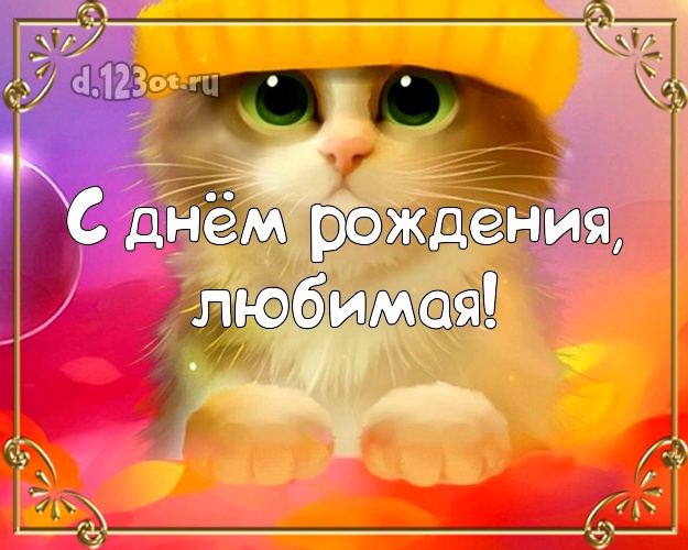 Дорогой женщине! Открытка! Рисованный котик в желтой шапочке и зелеными глазами! Картинка! Милой женщине на день рождения! С днём рождения, любимая! Скачать онлайн бесплатно для вацап!