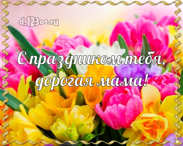 С праздником Тебя, дорогая мама! Моей маме! Цветы на день рождения! Открытка, картинка! Маме, мамулечке на день рождения! С праздником Тебя, дорогая мама! Скачать онлайн бесплатно для вацап!