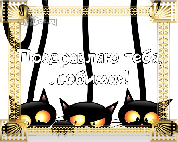 Дорогой женщине! Три черных кота! Милой женщине на день рождения! Поздравляю Тебя, любимая! Скачать онлайн бесплатно для вацап!