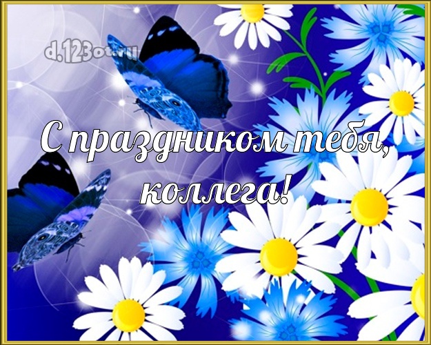 Моей коллеге-женщине! Белые ромашки на ярко-синем фоне на день рождения! Открытка с бабочками! Коллеге-женщине на день рождения! С праздником Тебя, любимая коллега! Скачать онлайн бесплатно для вацап!