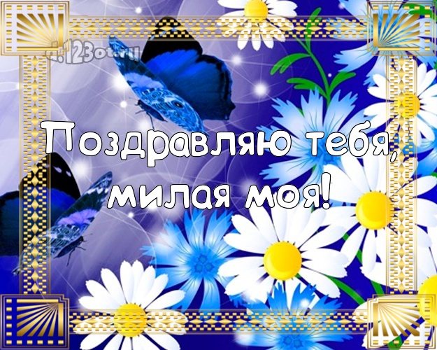 Поздравляю Тебя, милая моя! Моей девушке! Белые ромашки на ярко-синем фоне на день рождения! Открытка с бабочками! Любимой девушке на день рождения! Поздравляю Тебя, милая моя! Скачать онлайн бесплатно для вацап!