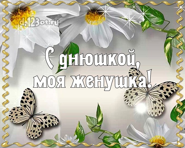 С днюшкой, моя женушка! Моей жене! Открытка! Ромашки с серебристыми бабочками! Женушке на день рождения! С днюшкой, моя женушка! Скачать онлайн бесплатно для вацап!