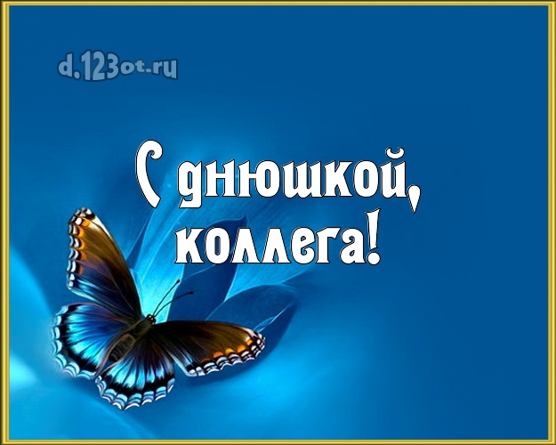 С днюшкой, любимая коллега! Моей коллеге-женщине! Бабочка с подсветкой на др! Коллеге-женщине на день рождения! С днюшкой, любимая коллега! Скачать онлайн бесплатно для вацап!