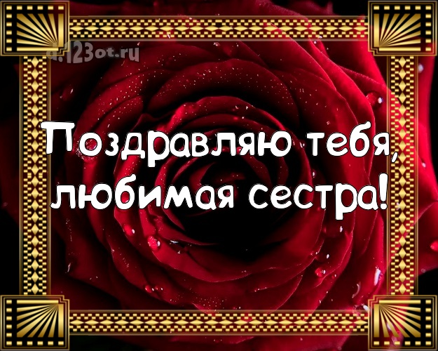 Поздравляю Тебя, любимая сестра! Моей сестренке! Темно-красная роза на день рождения! С днём рождения для вацап! Любимой сестре на день рождения! Поздравляю Тебя, любимая сестра! Скачать онлайн бесплатно для вацап!