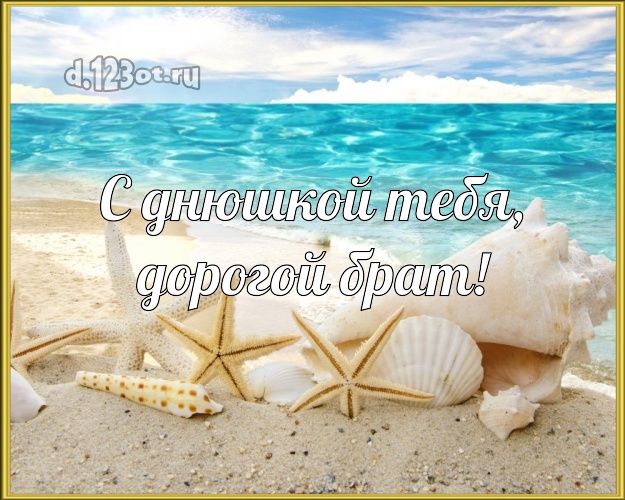 Ко дню рождения! картинка для братика с экзотической природой для whatsApp, для телеграм, для вк, для фейсбук, для одноклассников! Скачать онлайн бесплатно для вацап!