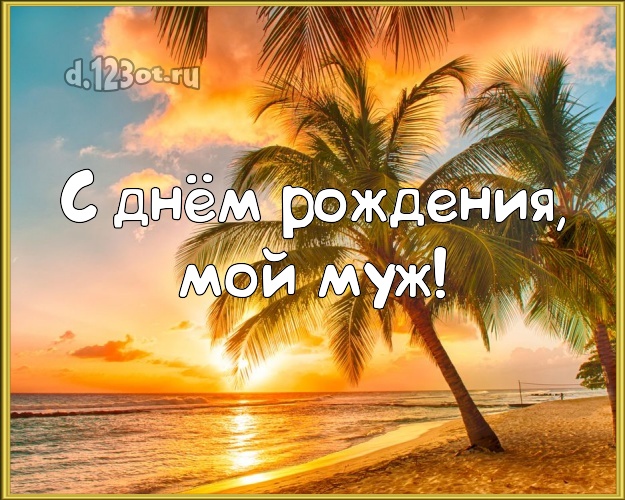 В день рождения! открытка для муженька с экзотической природой для вацап, для telegram, для вконтакте, для фейсбук, для одноклассники! Скачать онлайн бесплатно для вацап!