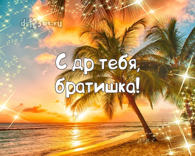 С днём рождения! открытка для братика с пальмами для whatsApp, для телеграм, для vk, для facebook, для одноклассники! Скачать онлайн бесплатно для вацап!