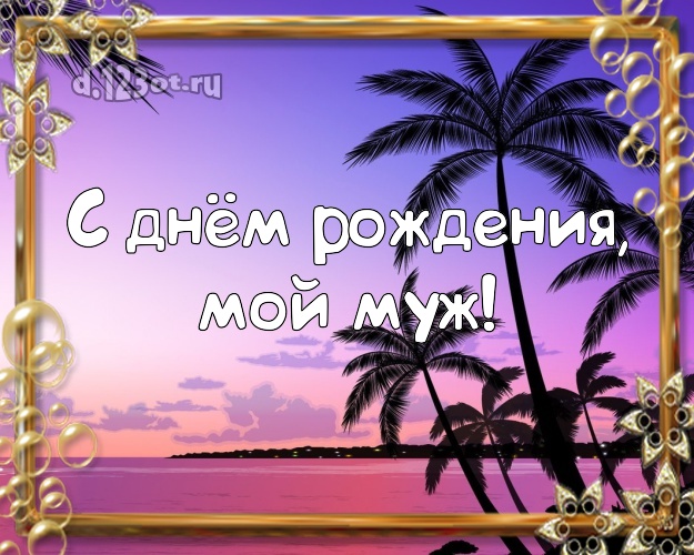 В день рождения! картинка мужу с пальмами для whatsApp, для телеграм, для вк, для facebook, для одноклассников! Скачать онлайн бесплатно для вацап!