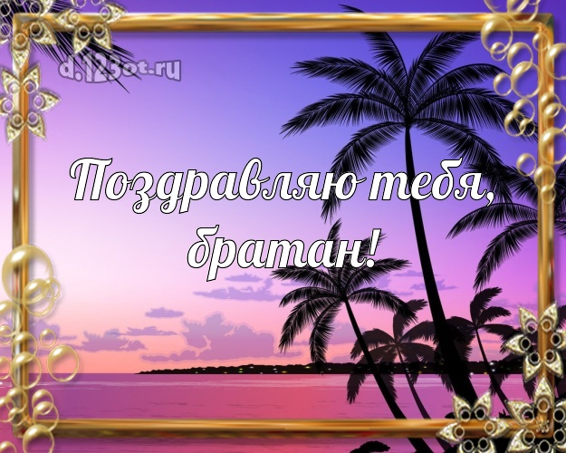 Ко дню рождения! картинка для брата с экзотикой для ватсапа, для telegram, для вконтакте, для фейсбука, для одноклассники! Скачать онлайн бесплатно для вацап!