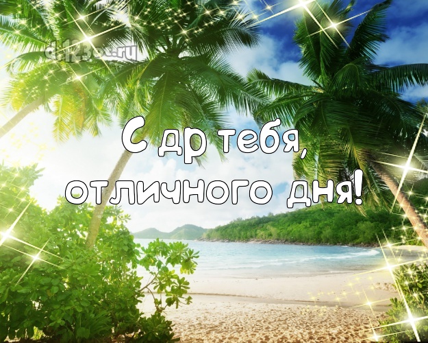 В день рождения! картинка парню с экзотикой для вацап, для телеграм, для вконтакте, для фейсбук, для одноклассники!! Скачать онлайн бесплатно для вацап!