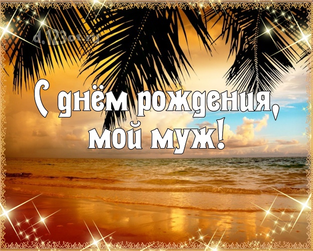 Ко дню рождения! картинка для отца моих детей с экзотикой для ватсапа, для telegram, для vk, для facebook, для одноклассники! Скачать онлайн бесплатно для вацап!