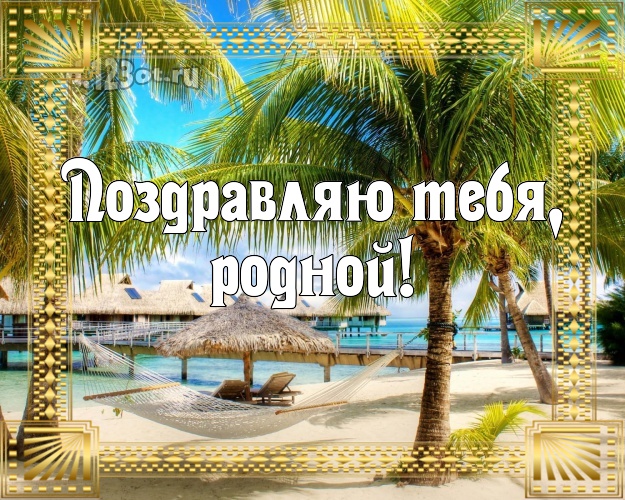 В день рождения! открытка мужу с пальмами для ватсапа, для телеграм, для вконтакте, для фейсбука, для одноклассников! Скачать онлайн бесплатно для вацап!