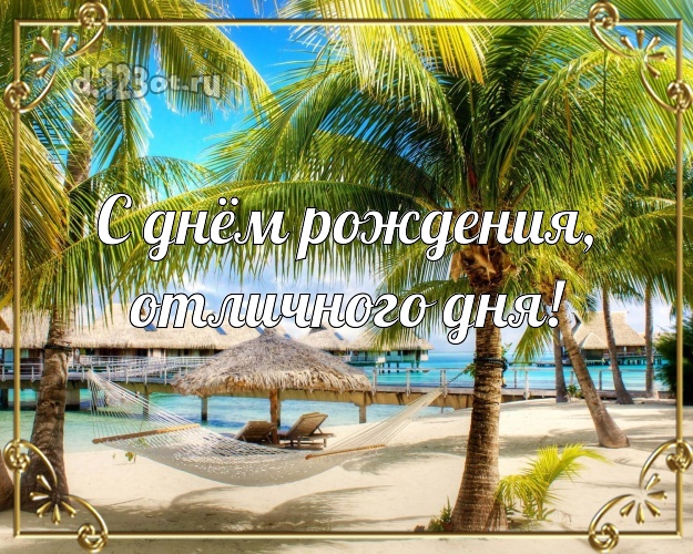 Ко дню рождения! открытка с экзотикой для ватсапа, для telegram, для vk, для фейсбука, для одноклассников!! Скачать онлайн бесплатно для вацап!