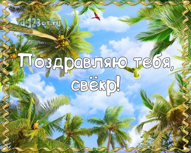 Поздравляю Тебя, свёкр! открытка для свекра с экзотической природой для вацап, для telegram, для вк, для фейсбук, для одноклассников! Скачать онлайн бесплатно для вацап!