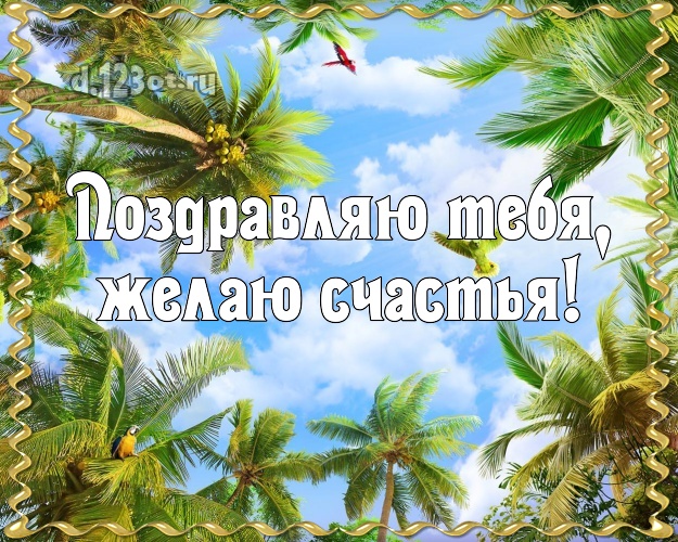 С днём рождения! картинка парню с экзотической природой для whatsApp, для telegram, для вк, для facebook, для одноклассники!! Скачать онлайн бесплатно для вацап!