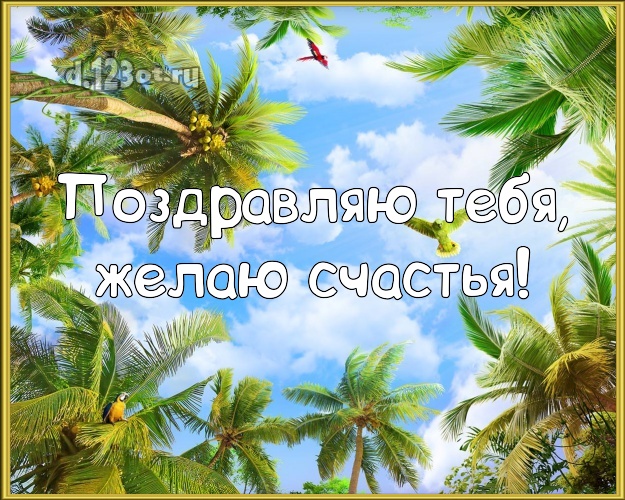 На день рождения! открытка парню с экзотической природой для whatsApp, для телеграм, для vk, для фейсбук, для одноклассники!! Скачать онлайн бесплатно для вацап!