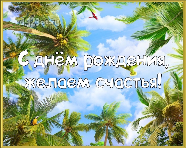 В день рождения! открытка для шефа с пальмами для вацап, для телеграм, для вк, для фейсбук, для одноклассники!! Скачать онлайн бесплатно для вацап!