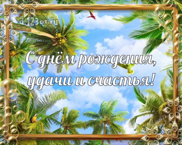 В день рождения! картинка директору с экзотикой для вацап, для telegram, для vk, для фейсбук, для одноклассники!! Скачать онлайн бесплатно для вацап!