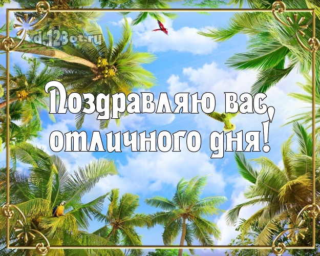 С днём рождения! картинка с экзотикой для whatsApp, для telegram, для вконтакте, для фейсбук, для одноклассники!! Скачать онлайн бесплатно для вацап!