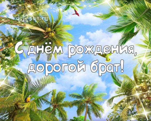 На день рождения! открытка братику с пальмами для вацап, для телеграм, для вк, для фейсбука, для одноклассники! Скачать онлайн бесплатно для вацап!