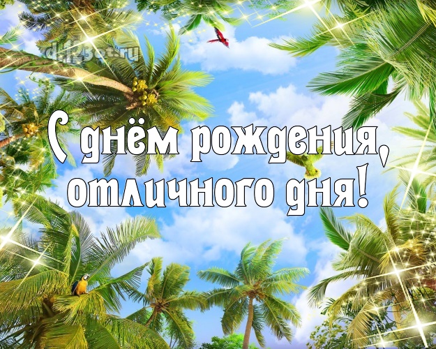 С днём рождения! открытка для шефа с пальмами для whatsApp, для телеграм, для vk, для фейсбука, для одноклассники!! Скачать онлайн бесплатно для вацап!