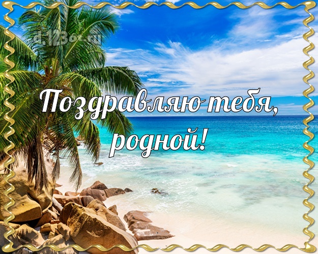 На день рождения! открытка для мужа с экзотикой для вацап, для telegram, для vk, для facebook, для одноклассники! Скачать онлайн бесплатно для вацап!