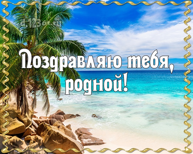 На день рождения! открытка для мужа с экзотической природой для whatsApp, для telegram, для вконтакте, для фейсбук, для одноклассники! Скачать онлайн бесплатно для вацап!