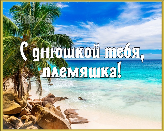 С днюшкой Тебя, племяшка! открытка для племянника с экзотической природой для ватсапа, для telegram, для вконтакте, для facebook, для одноклассников! Скачать онлайн бесплатно для вацап!