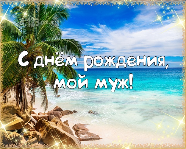 Ко дню рождения! картинка отцу моих детей с экзотической природой для ватсапа, для telegram, для вк, для фейсбук, для одноклассников! Скачать онлайн бесплатно для вацап!