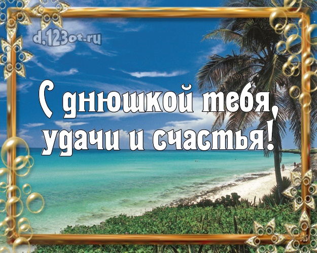 На день рождения! картинка парню с пальмами для whatsApp, для телеграм, для вк, для facebook, для одноклассников!! Скачать онлайн бесплатно для вацап!