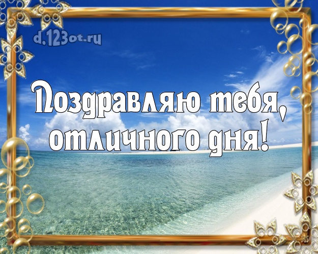 С днём рождения! картинка парню с экзотикой для ватсапа, для телеграм, для вк, для фейсбук, для одноклассники!! Скачать онлайн бесплатно для вацап!